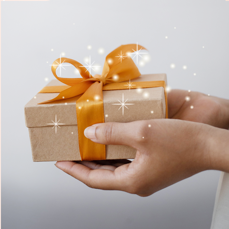 ✨  Autumn Mystery Box - Petite ✨